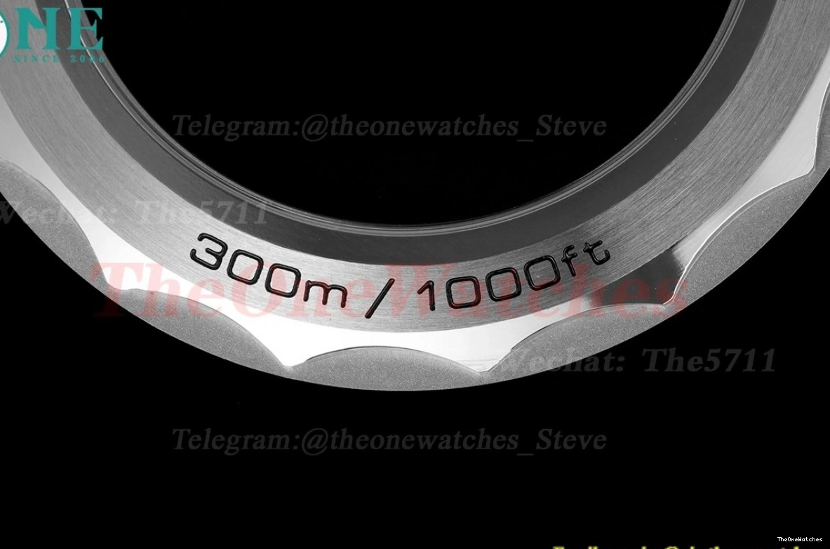 8800 Asia 300m SS 2018 Seamaster ORF Black SS 0113